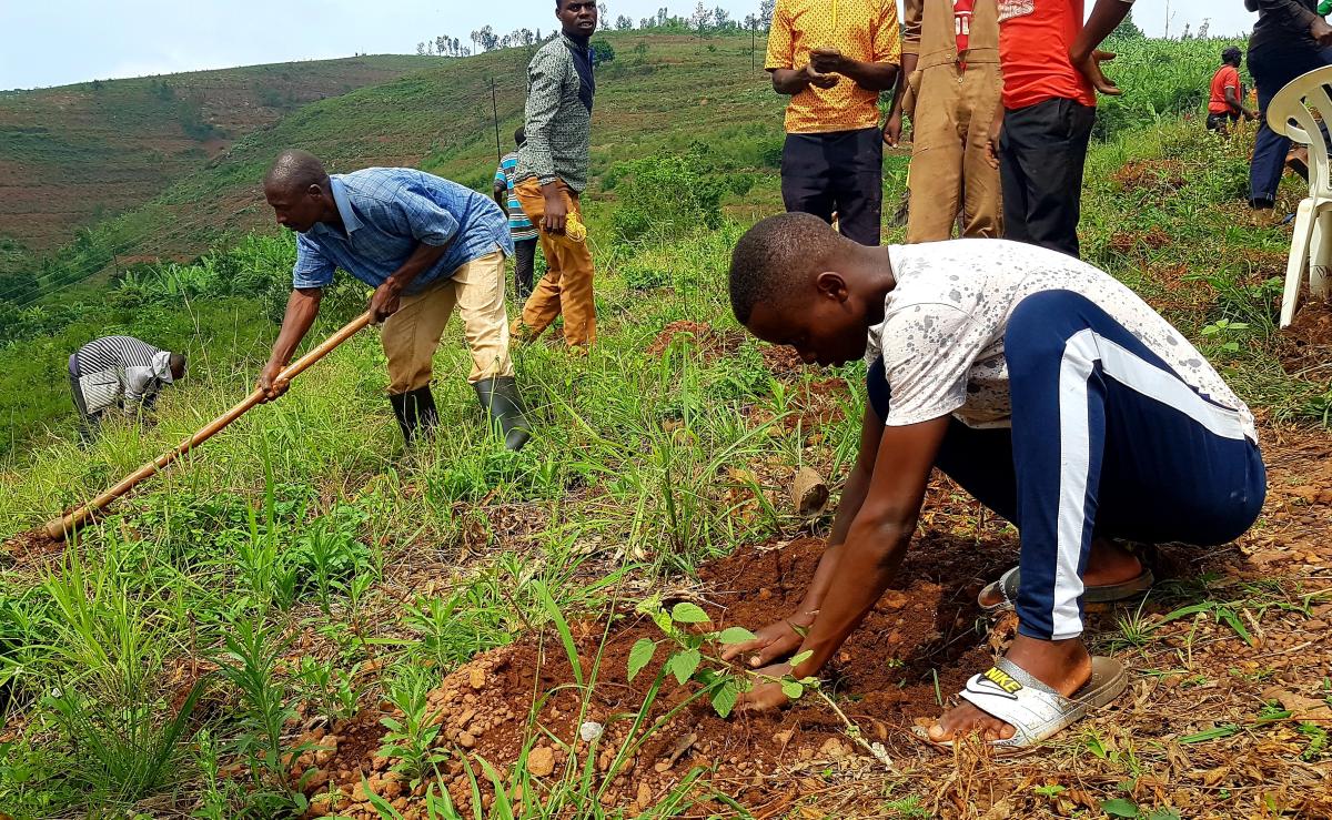 Development Smart Innovation through Research Agriculture (DeSIRA) Rwanda project