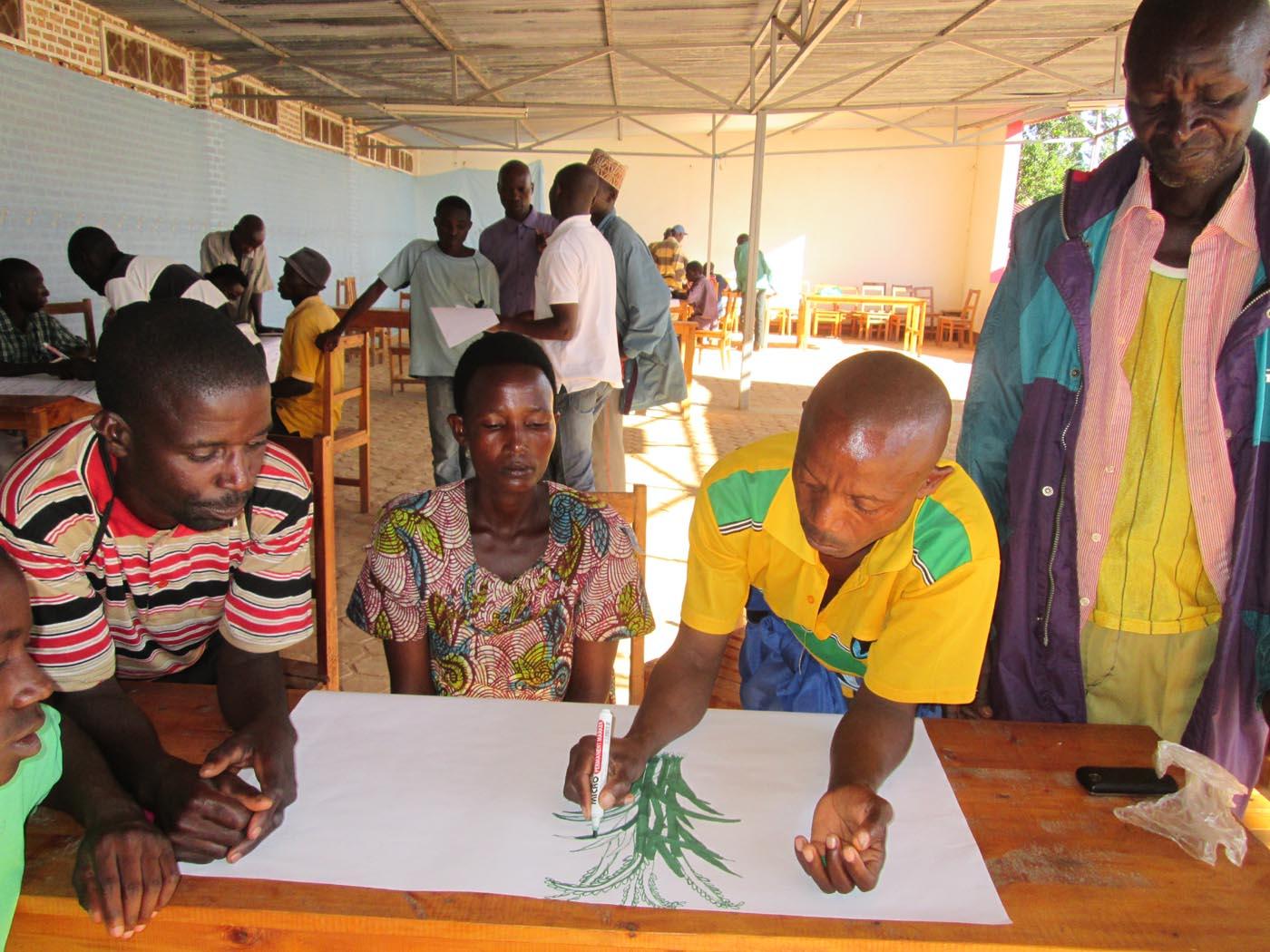 Programme d'Appui Institutionnel et Opérationnel au Secteur Agricole du Burundi (PAIOSA) : Augmentation et meilleure valorisation des productions agri