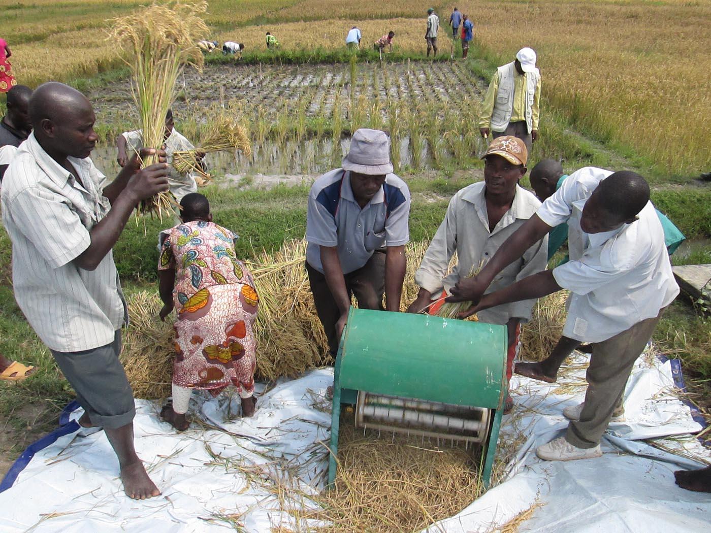 Programme d'Appui Institutionnel et Opérationnel au Secteur Agricole du Burundi (PAIOSA) : amélioration de la compétitivité du secteur agricole.