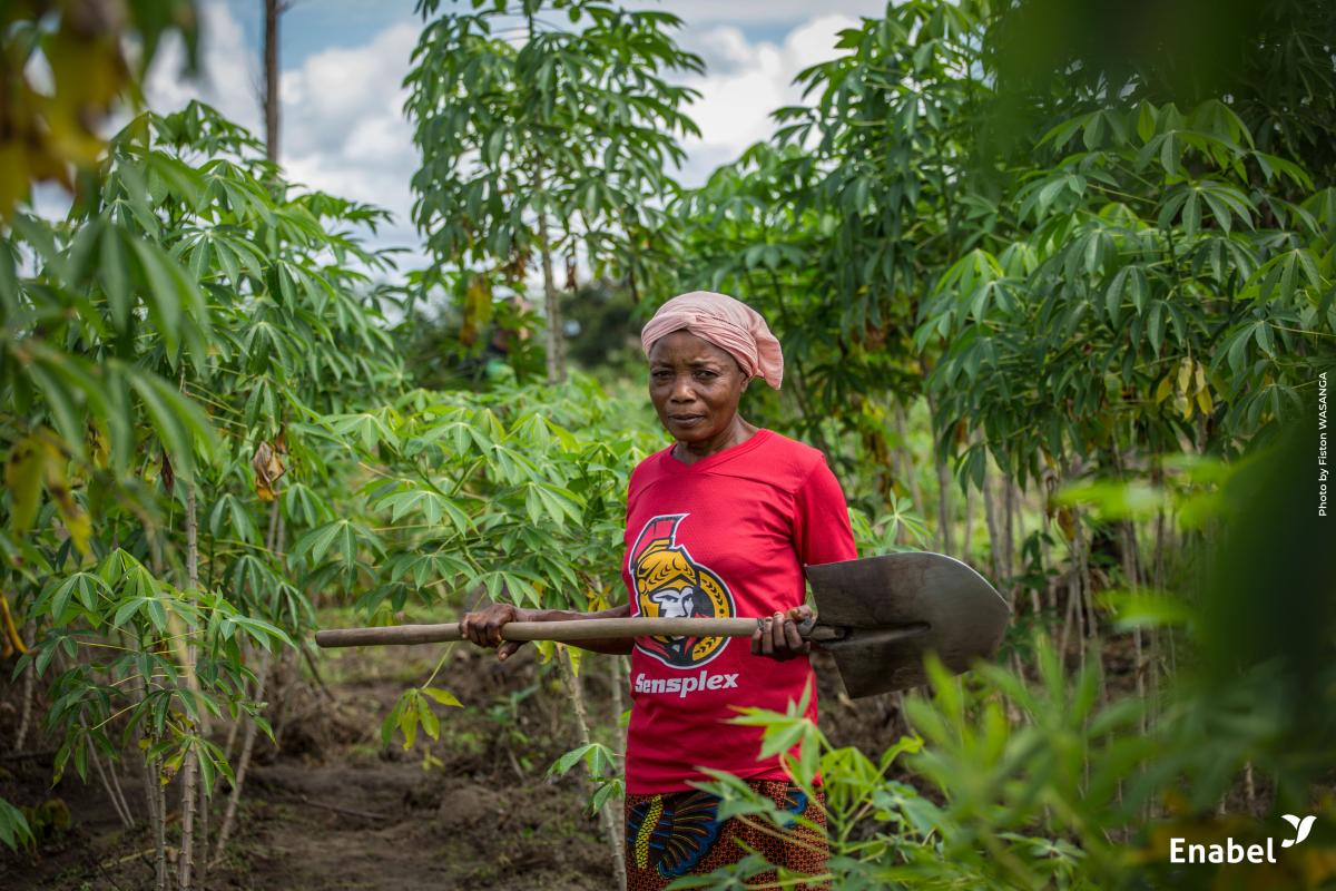 Pilier 3 : Sécurité alimentaire et agriculture durable; Volet 1 : Agriculture familiale et entreprenariat agricole et rural - Sud Kivu