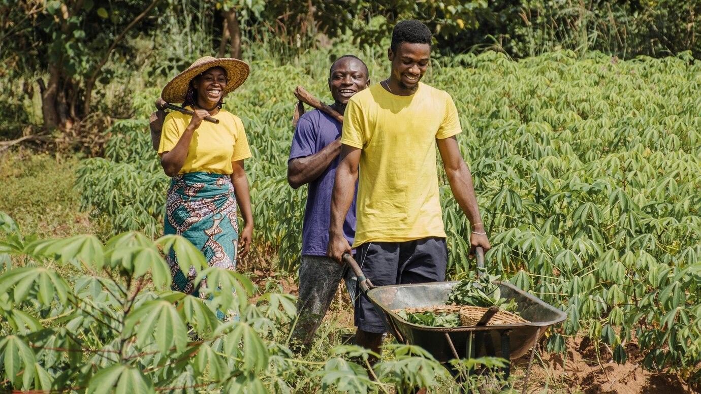 Projet d'appui aux producteurs agroécologiques et à la transformation durable des systèmes alimentaires