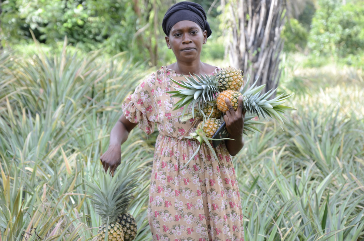 Renforcement de la résilience des populations guinéennes face aux chocs climatiques alimentaires et économiques par un Développement Agricole Durable