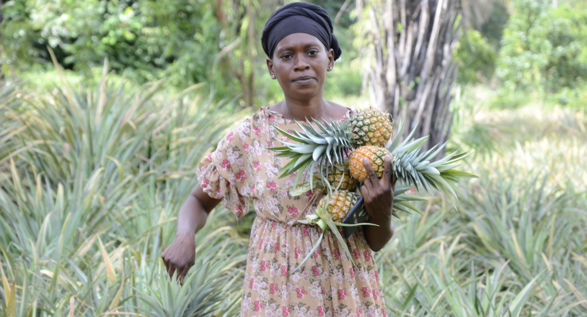 Renforcement de la résilience des populations guinéennes face aux chocs climatiques alimentaires et économiques par un Développement Agricole Durable