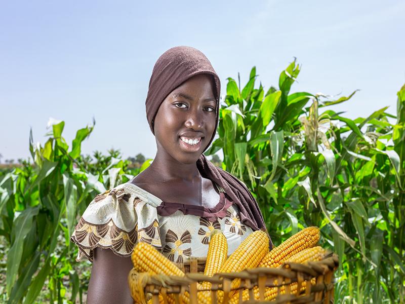 Souveraineté alimentaire durable, résilience socioéconomique et lutte contre changement climatique