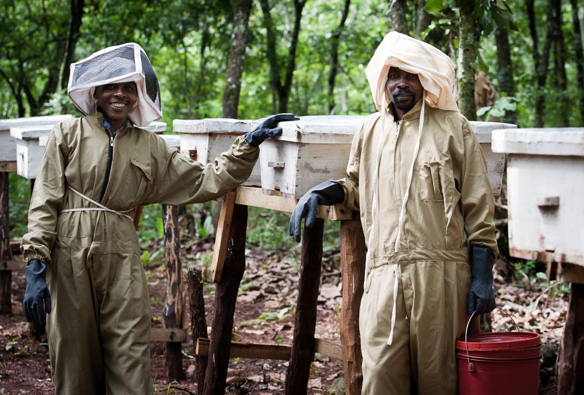 Beekeeping Support Project in Kigoma Region