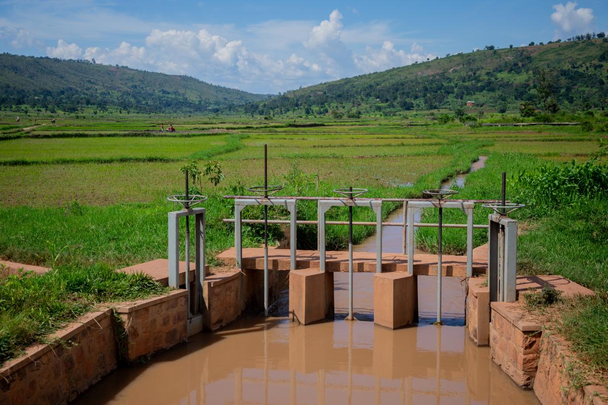 Coopération Belgique–Burundi : des résultats tangibles au cœur des communautés