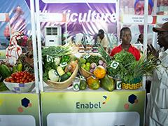 À Kaolack, une foire qui célèbre l’avenir… et l’action concrète