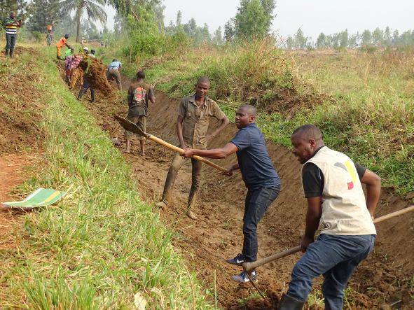 Kirundo - Cibitoke : de la saison rizicole à l’entretien du réseau d’irrigation, une campagne réussie