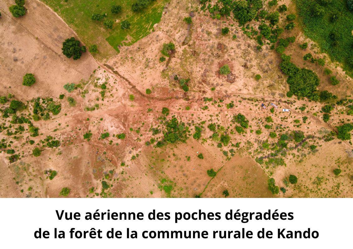 Reboisement et valorisation des forêts communautaires au Burkina Faso : Un pas crucial vers un avenir durable