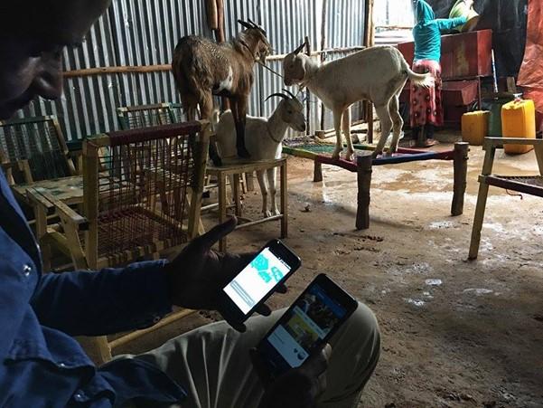 Empowering African innovation: public innovations selected to scale their impact