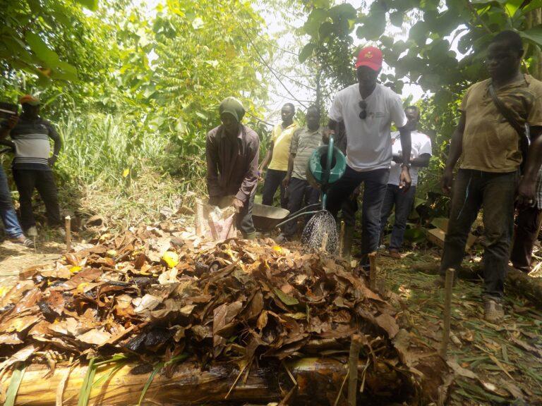 Awareness raising campaigns in Africa
