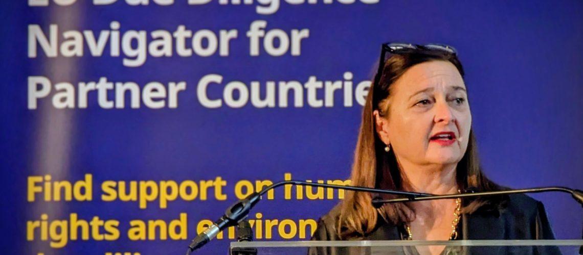 The EU Due Diligence Navigator for Partner Countries
