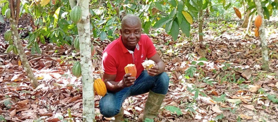 Cacao “Fine Saveur” en Côte d’Ivoire : de l’excellence agronomique à la conquête du marché de spécialité 