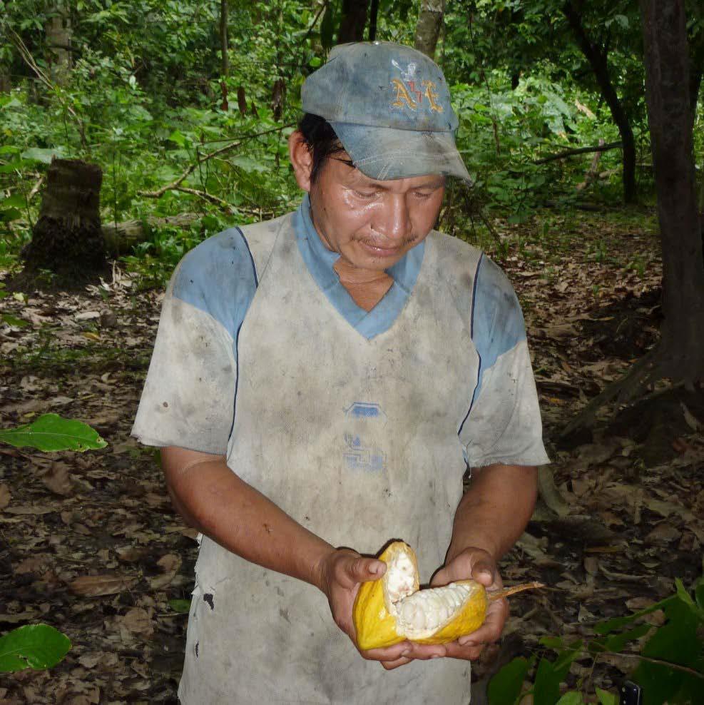 The lasting impact: how TDC's partnership catalysed ARCASY’s independent success in the Bolivian Amazon