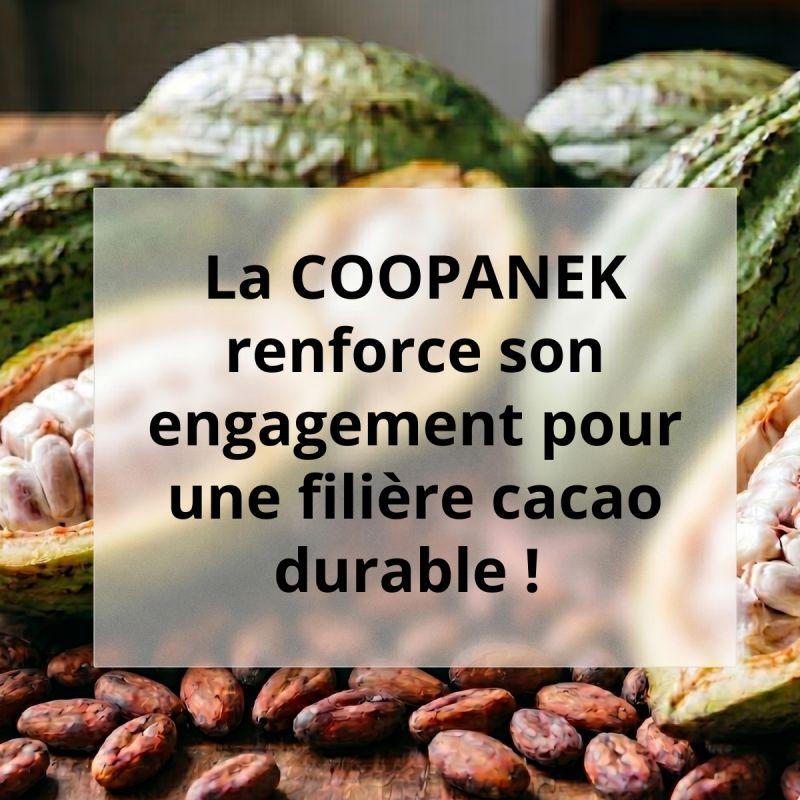 La COOPANEK renforce son engagement pour une filière cacao durable 