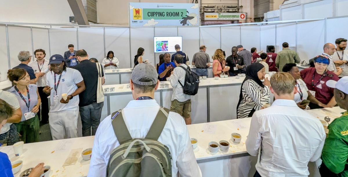 World of Coffee: Big turnout for TDC cupping session