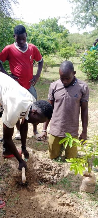 Journée nationale de l’arbre au Burkina Faso : 1300 plants mis en terre grâce à l’appui d’Enabel 