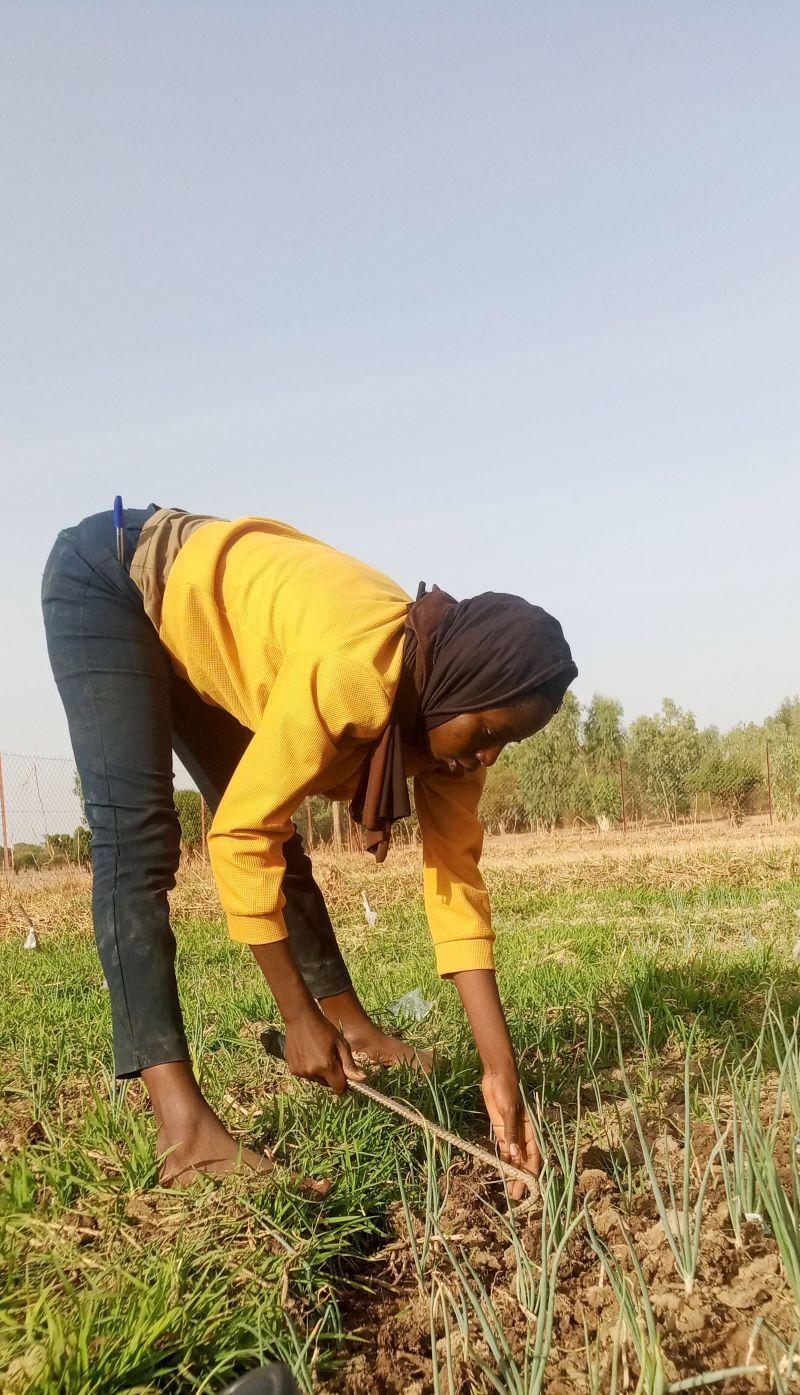 Climat & Agroécologie au Burkina Faso : la nouvelle génération de chercheurs s’engage !