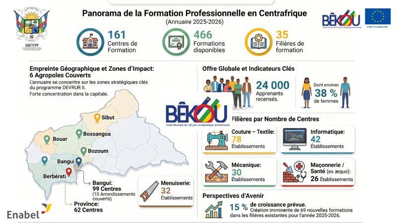 Nouvel annuaire et cartographie des centres de formation technique et professionnelle pour la Centrafrique 