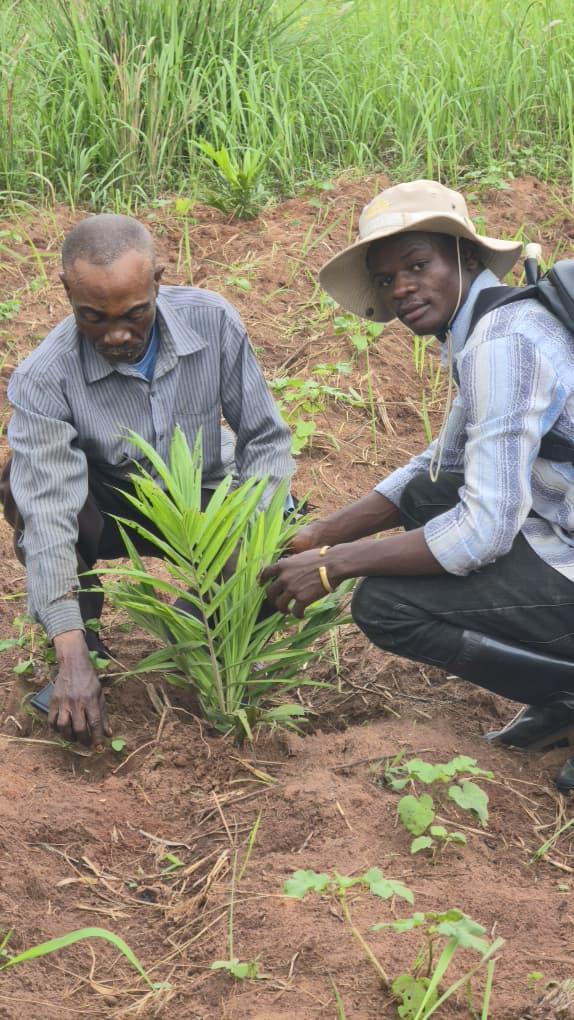 Une agriculture durable portée par les Champs Écoles Paysans de la Lomami