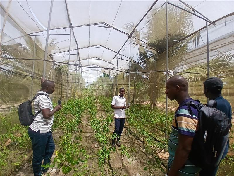 Des faitières et incubateurs appuyés par le projet AMIS en immersion au Bénin