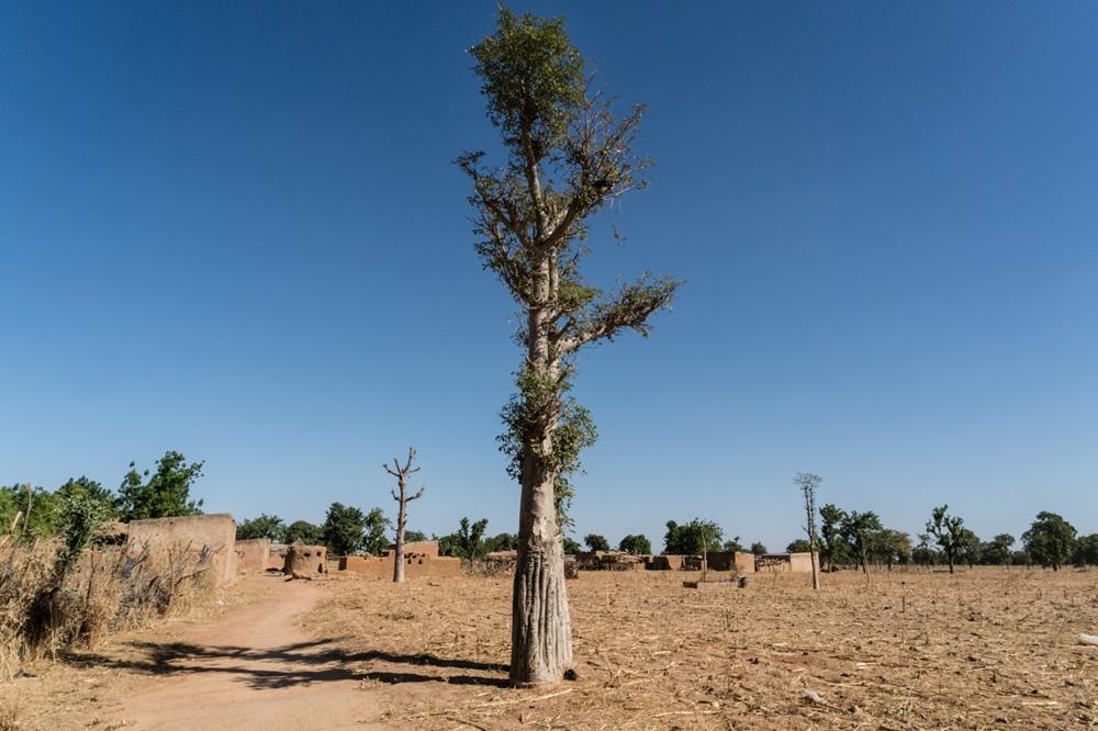 Gouvernance climatique au Mali : Enabel soutient le leadership des OSC