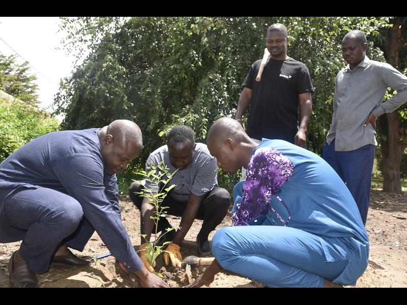 Mali, planter pour demain: le bureau Enabel de Koulikoro engagé pour le climat