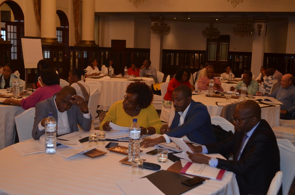 PEFA 2019 seminar assessment launch and workshop on Mozambique’s health sector