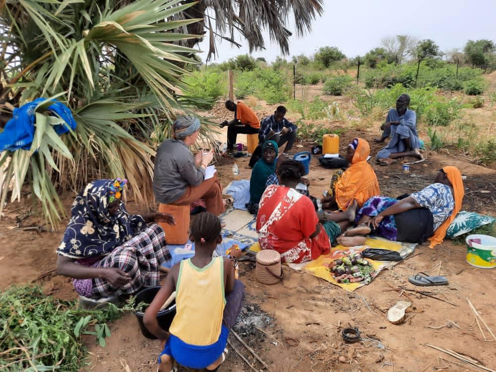 En Mauritanie, Enabel diagnostique les besoins en financement des acteurs de la filière maraichère