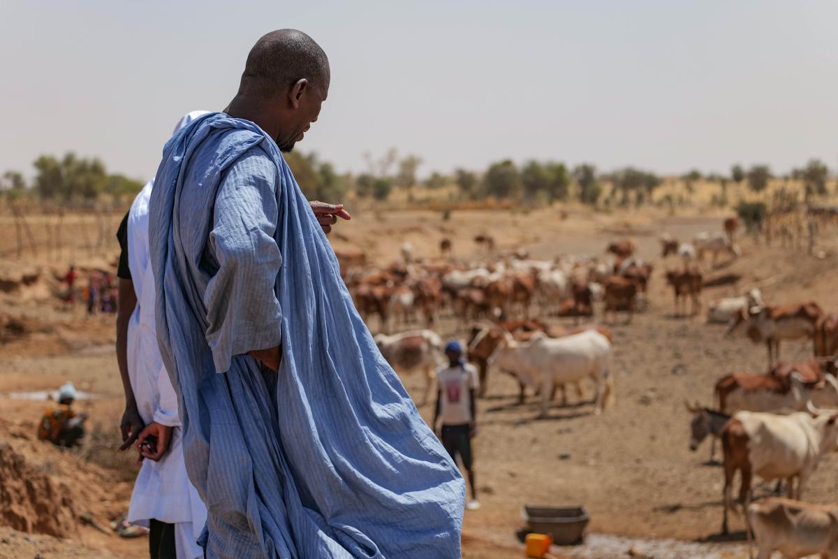 Enabel Mauritanie participe aux journées portes ouvertes sur l'élevage du 29 au 30 mars 