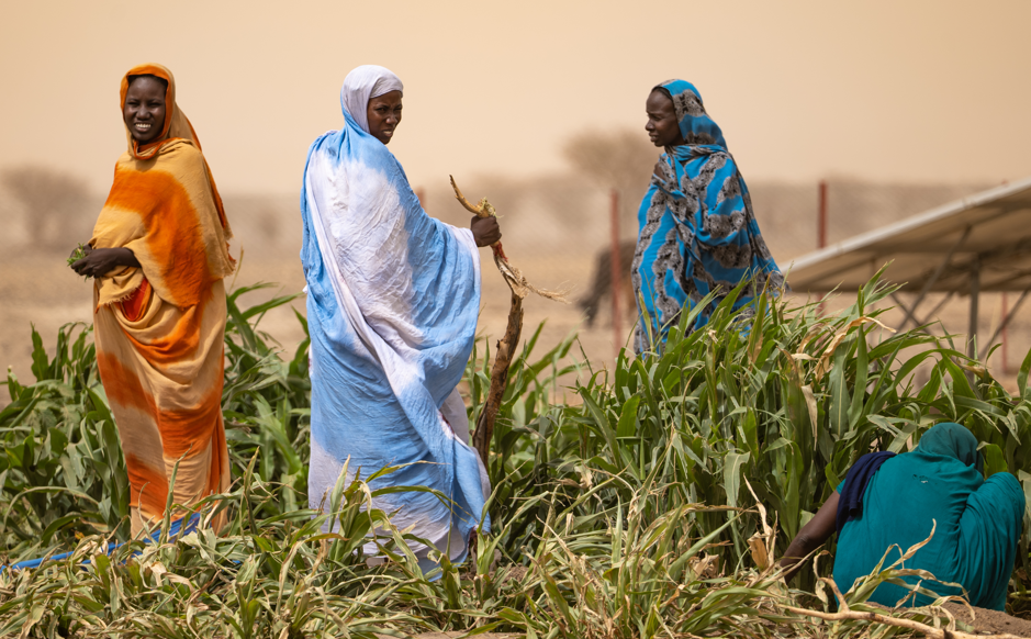 En Mauritanie, les femmes œuvrent pour le développement de leur communauté 