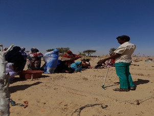 Mauritanie: expérience réussie pour le premier périmètre maraicher du village de N'Guiya