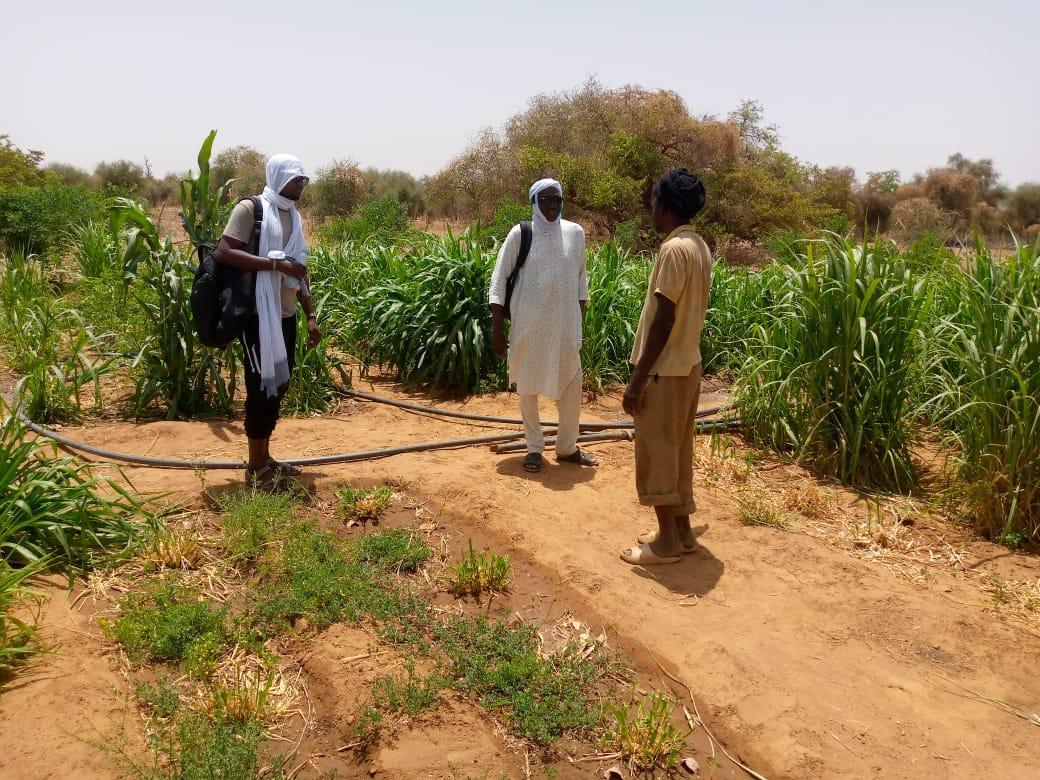 En Mauritanie, l'accès au financement est facilité pour les agropasteurs des zones rurales