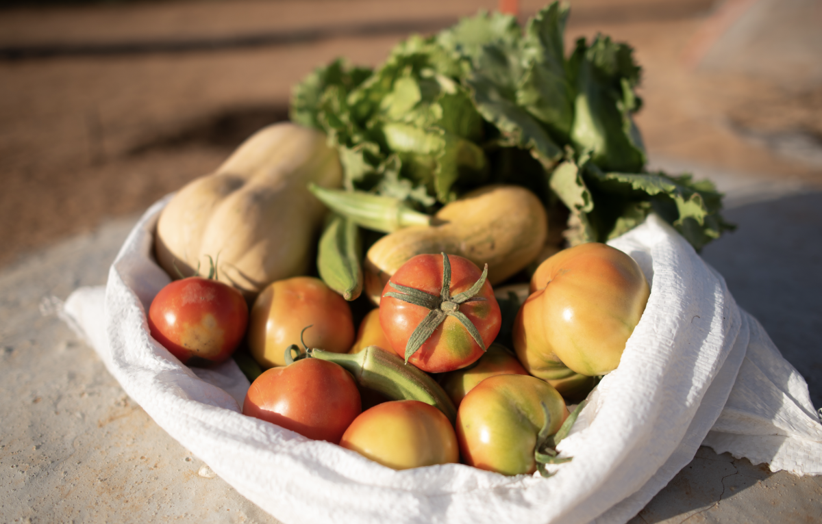 Vers une meilleure sécurité alimentaire en Mauritanie : un Comité national du Codex bientôt opérationnel