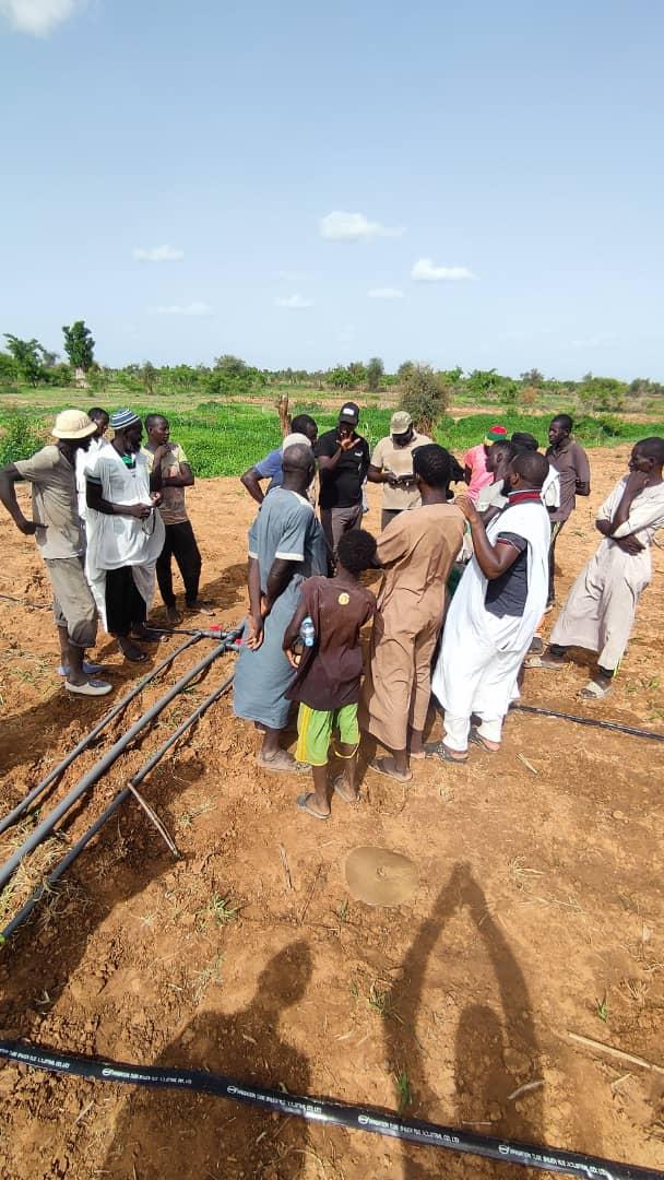 SECURALIM débute son action sur le terrain avec l'installation de l'irrigation