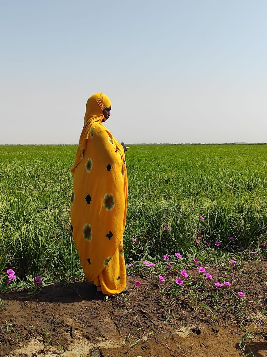 En Mauritanie: Inauguration des premières réalisations du programme SECURALIM en  soutien à la production agro-pastorale et la sécurité alimentaire