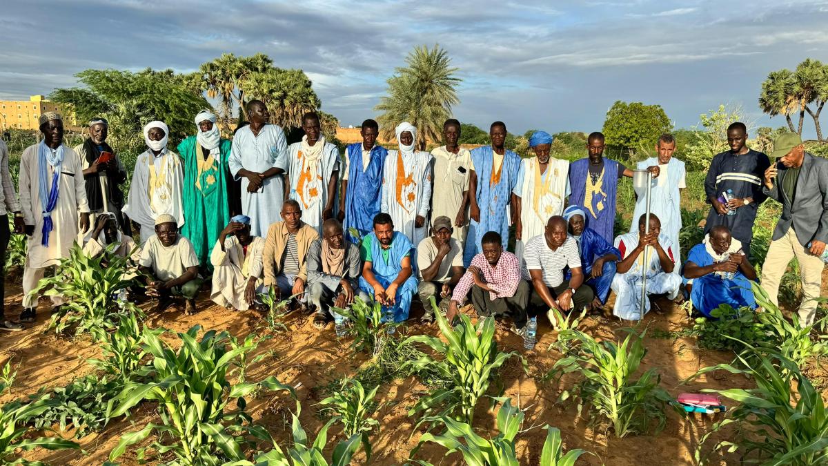 SECURALIM : L'Innovation au Service de l'Agriculture Durable en Mauritanie