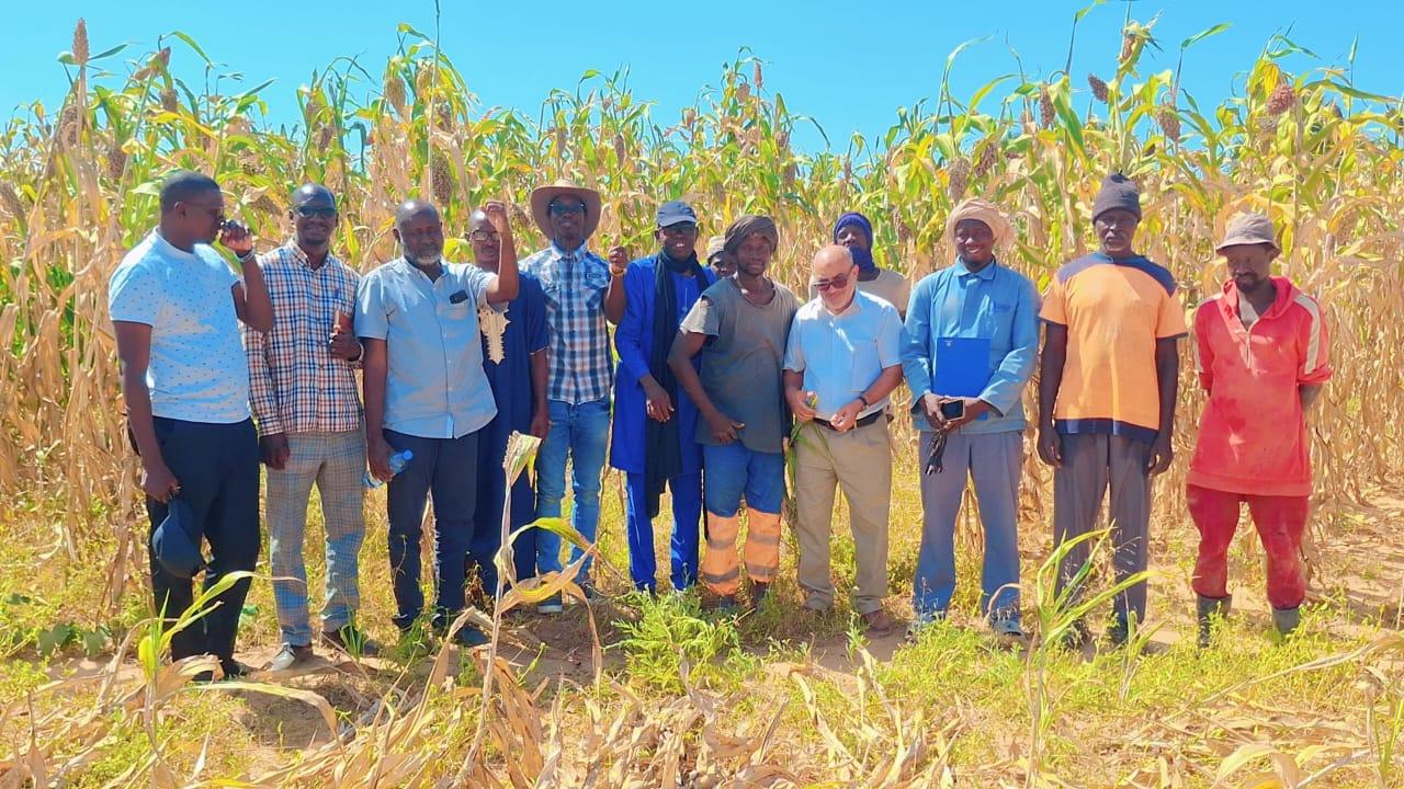 En Mauritanie: SECURALIM & SYSALIM : Nos équipes terrain en action à travers toutes les régions !