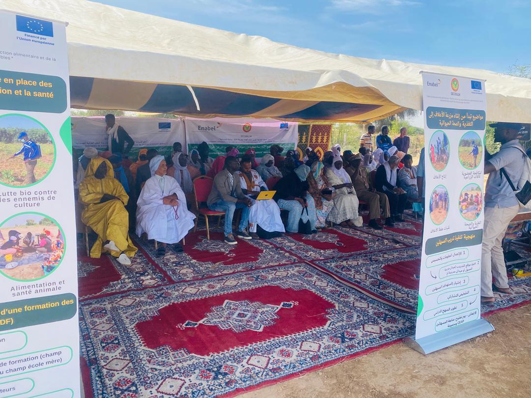 Cultiver l’avenir : Le Champ-École au cœur de la résilience pastorale à Rosso (Mauritanie)