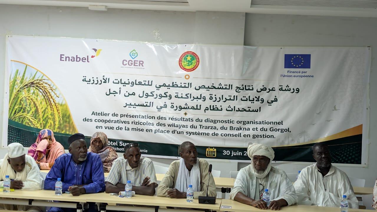 En Mauritanie : Co-construire l’avenir de la riziculture familiale avec le projet SECURALIM