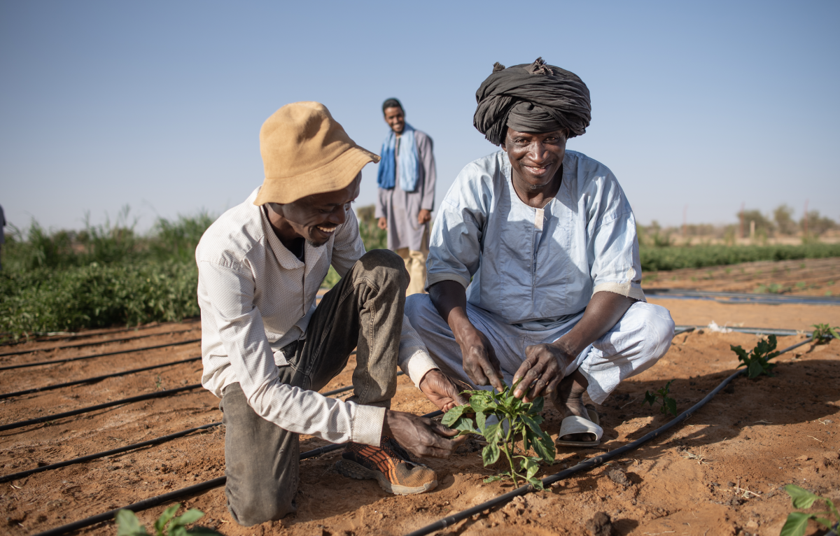Un nouveau souffle pour la sécurité alimentaire en Mauritanie