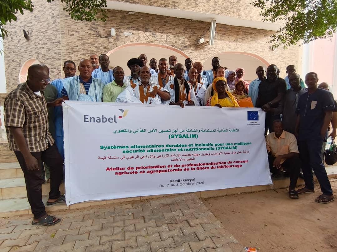 En Mauritanie: Lait et fourrage : à Kaédi, éleveurs, facilitateurs et institutions bâtissent ensemble le conseil de demain