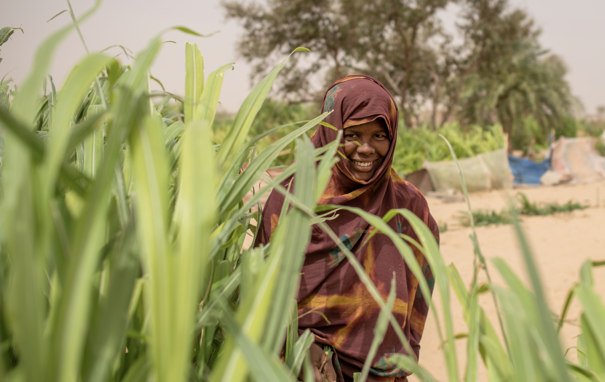Lait et fourrage : de Kaédi à Kiffa, le conseil et la concertation se construisent sur le terrain en Mauritanie