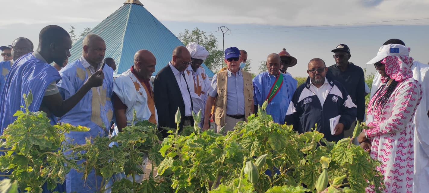 En Mauritanie: Lancement des projets TAWAFOUG et MIRECAM