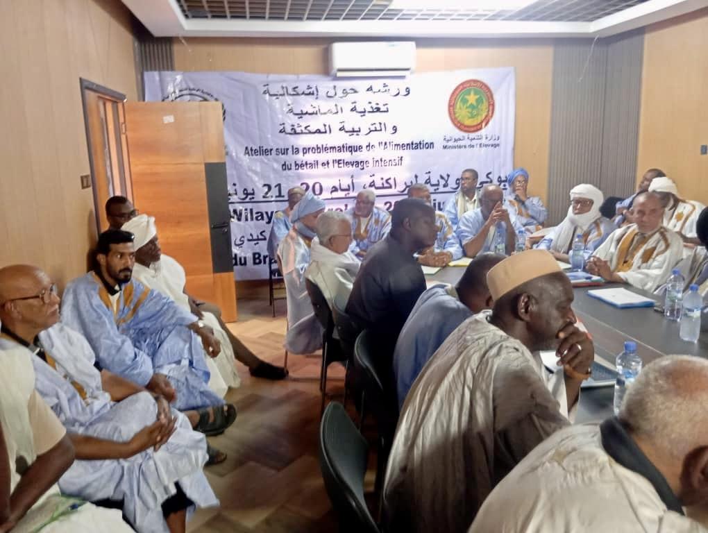 Boghé accueille un atelier régional sur l’alimentation du bétail et le développement des systèmes d’élevage durables en Mauritanie