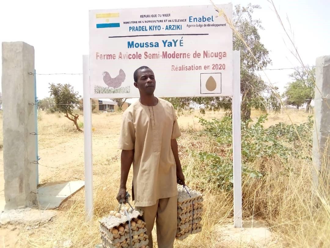 Enabel soutient l’amélioration de l’aviculture semi-moderne au Niger