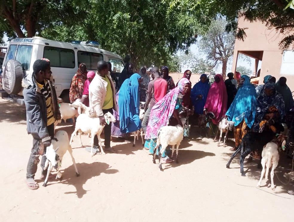 Au Niger, distribution de kits ovins dans le cadre des actions de résilience  économique des jeunes et des femmes 