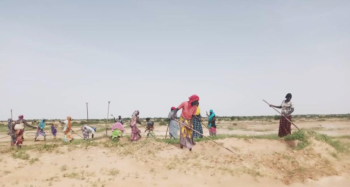 Au Niger, le projet REPO appuie la restauration des terres pastorales