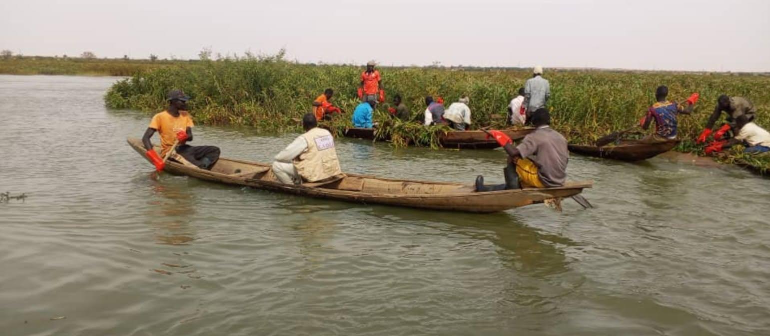 Niger : une mobilisation réussie pour freiner les plantes aquatiques envahissantes