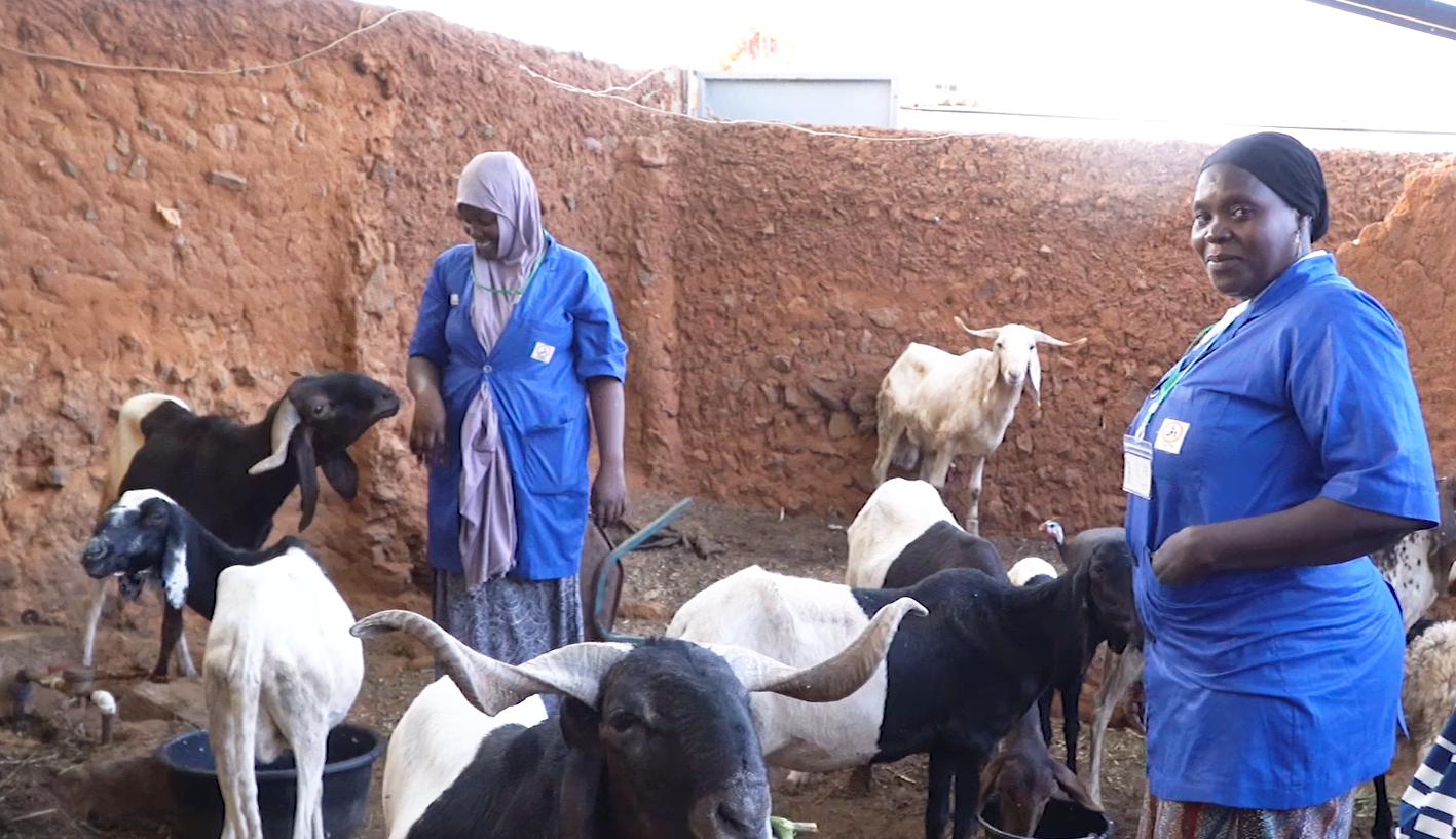 Atelier de capitalisation : Enabel et le FAFPA renforcent la formation professionnelle pour l’avenir de l’agropastoralisme